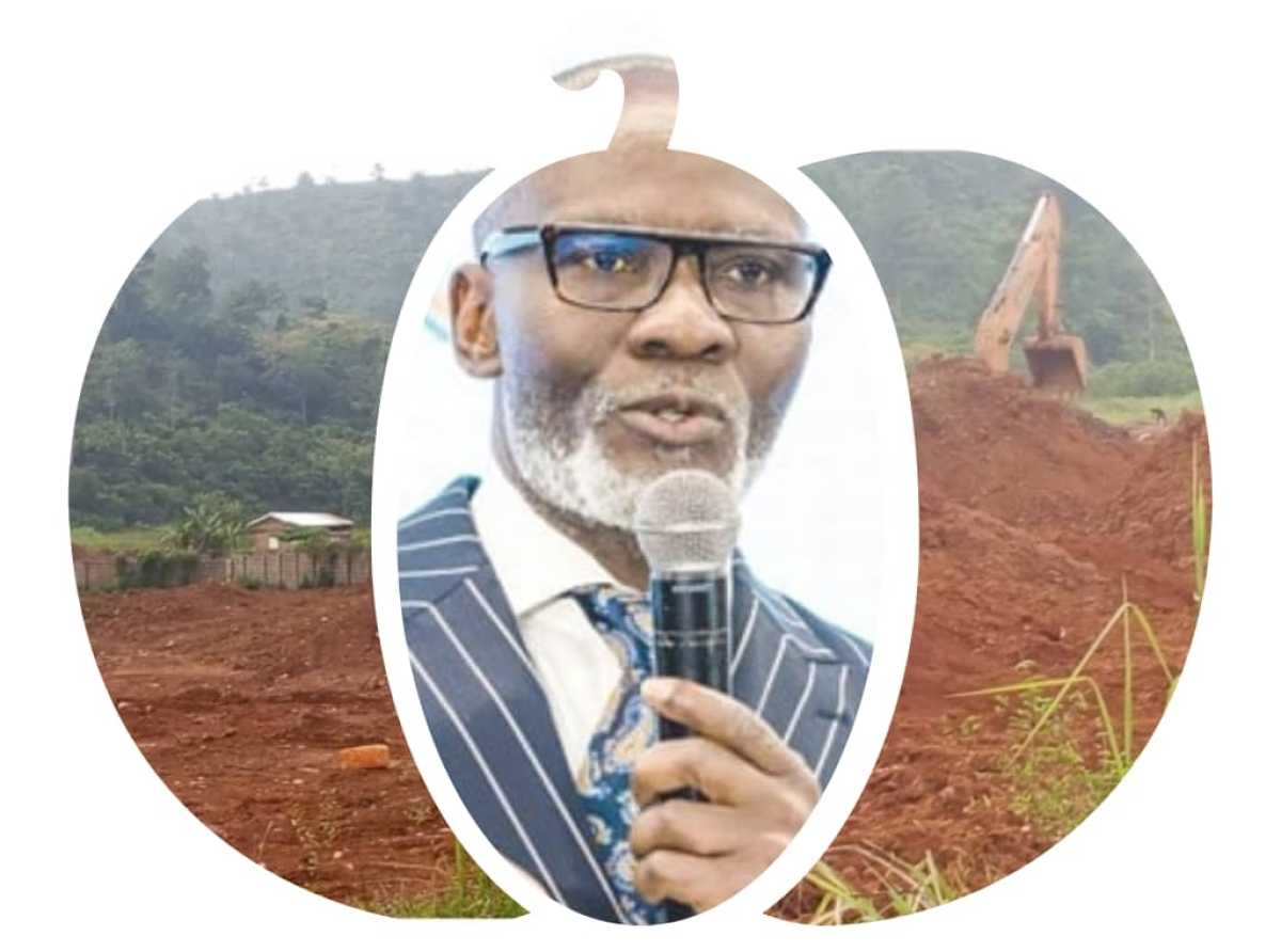 Gabby Otchere-Darko Linked to Galamsey Claims