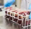 Jehovah’s Witnesses update blood transfusion policy, now allow use of stored own blood in medical procedures