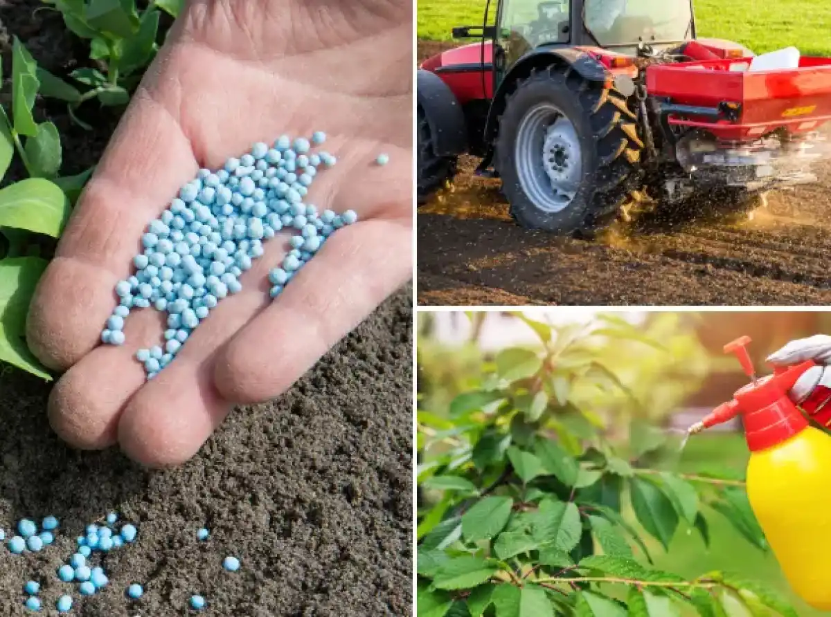 Iran–US conflict pushes fertilizer prices higher, raising food security risks in 2026