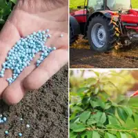 Iran–US conflict pushes fertilizer prices higher, raising food security risks in 2026