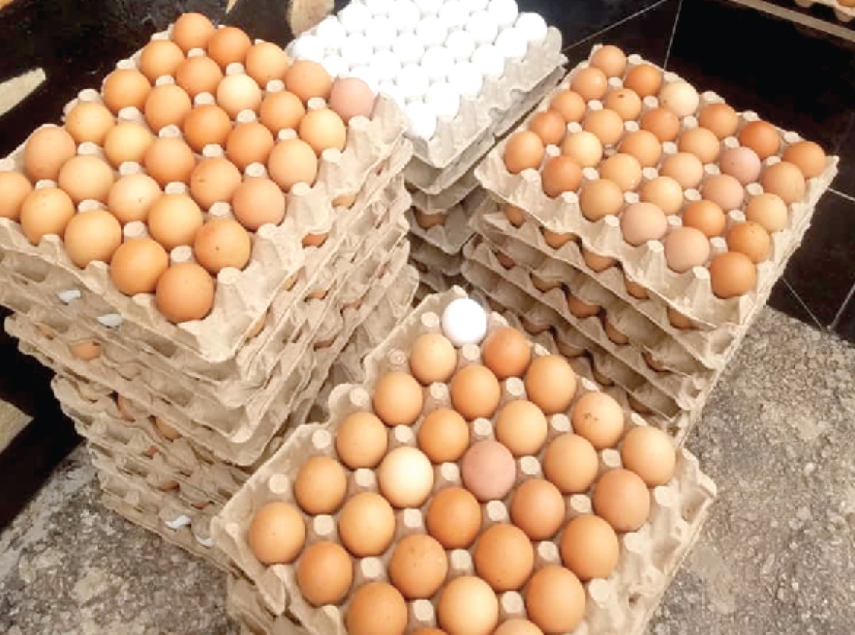 Egg glut hits Ghana as Burkina Faso import ban bites