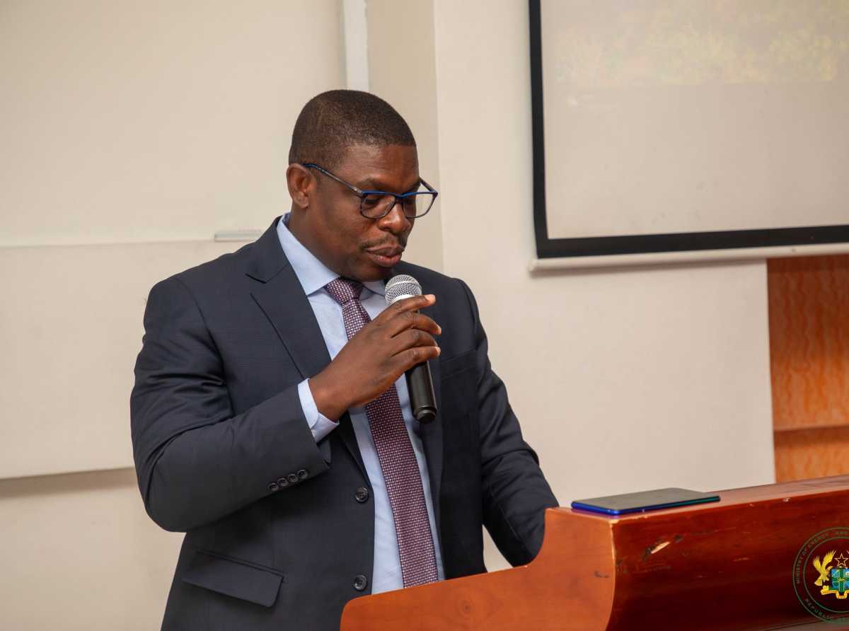 Demand shot up, transformers overloaded – Deputy Energy Minister