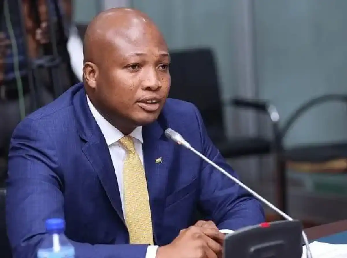 Ghana to launch first electronic visa system on Africa Day – Ablakwa announces