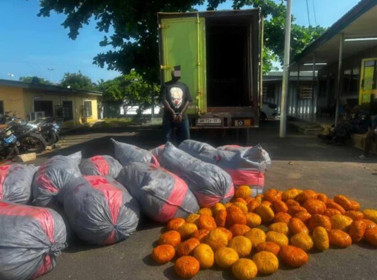 Tema Police intercept sacks of suspected Indian hemp; one arrested