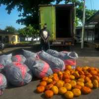Tema Police intercept sacks of suspected Indian hemp; one arrested