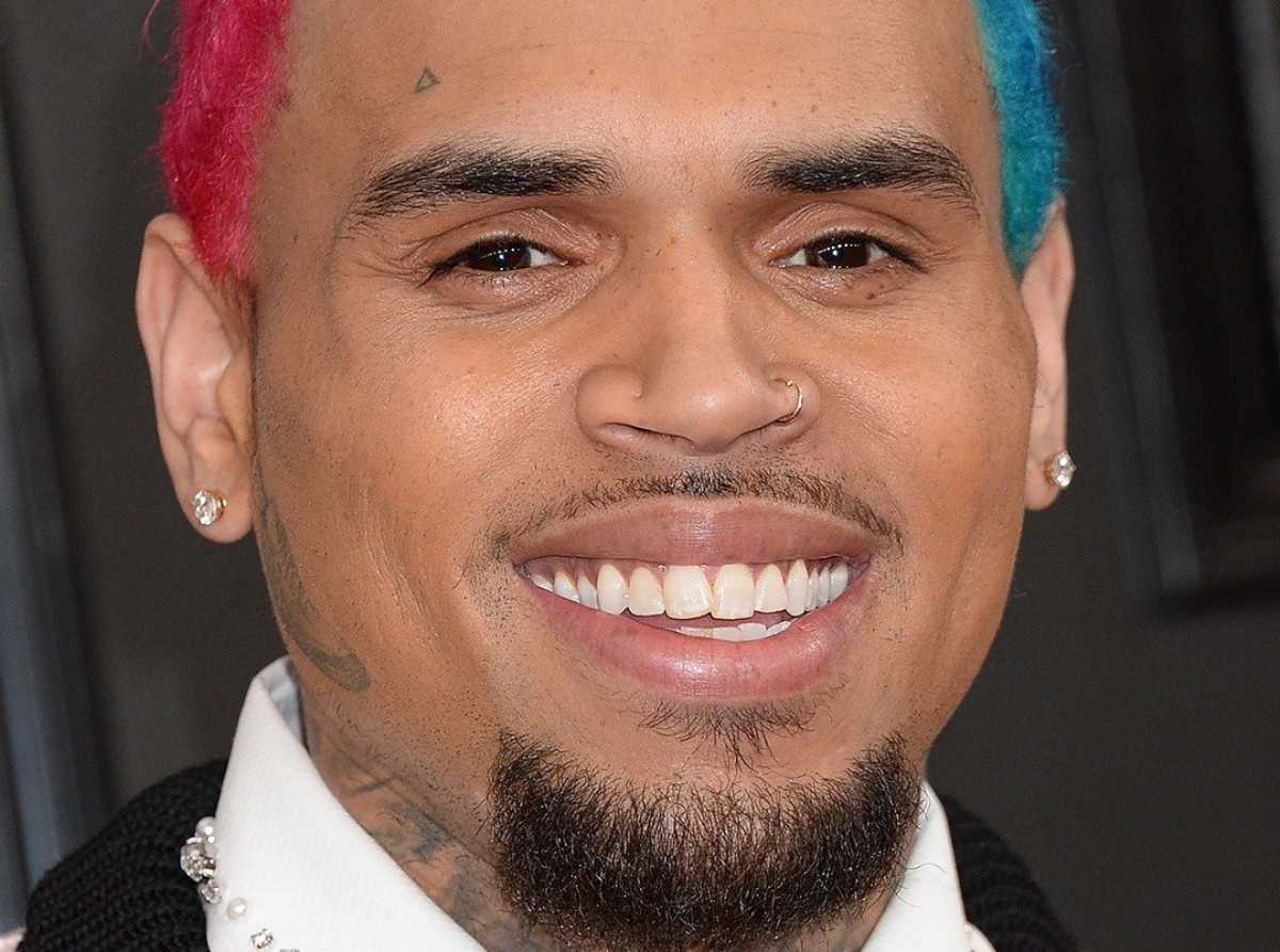 Chris Brown ordered to pay housekeeper $13m after dog attack
