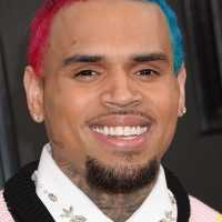 Chris Brown ordered to pay housekeeper $13m after dog attack